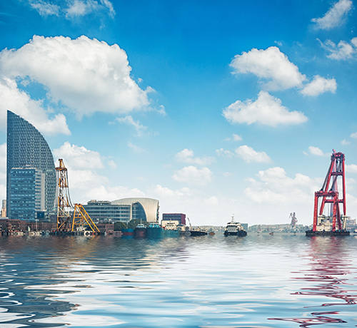 Offshore / Holding Structures